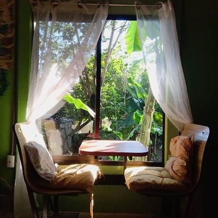 Casa Flor De Annia ~ Cozy 2 Bdrm On The River Sierpe ~ Walkable To Town Villa Екстериор снимка