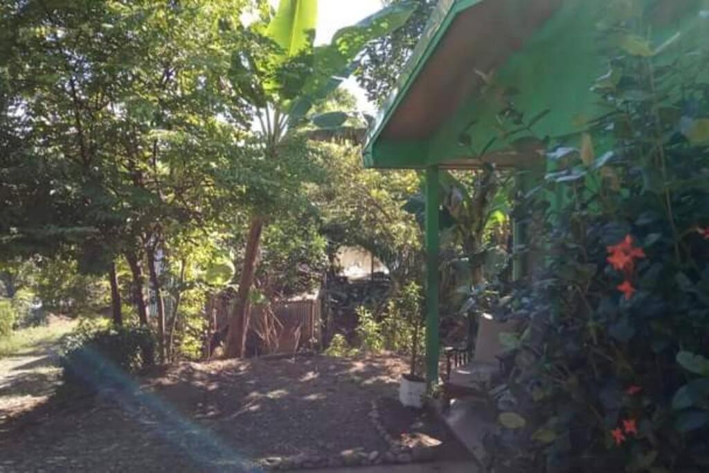 Casa Flor De Annia ~ Cozy 2 Bdrm On The River Sierpe ~ Walkable To Town Villa Екстериор снимка