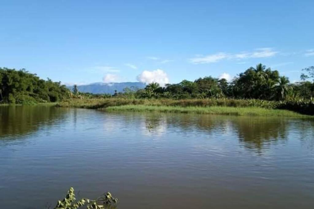 Casa Flor De Annia ~ Cozy 2 Bdrm On The River Sierpe ~ Walkable To Town Villa Екстериор снимка