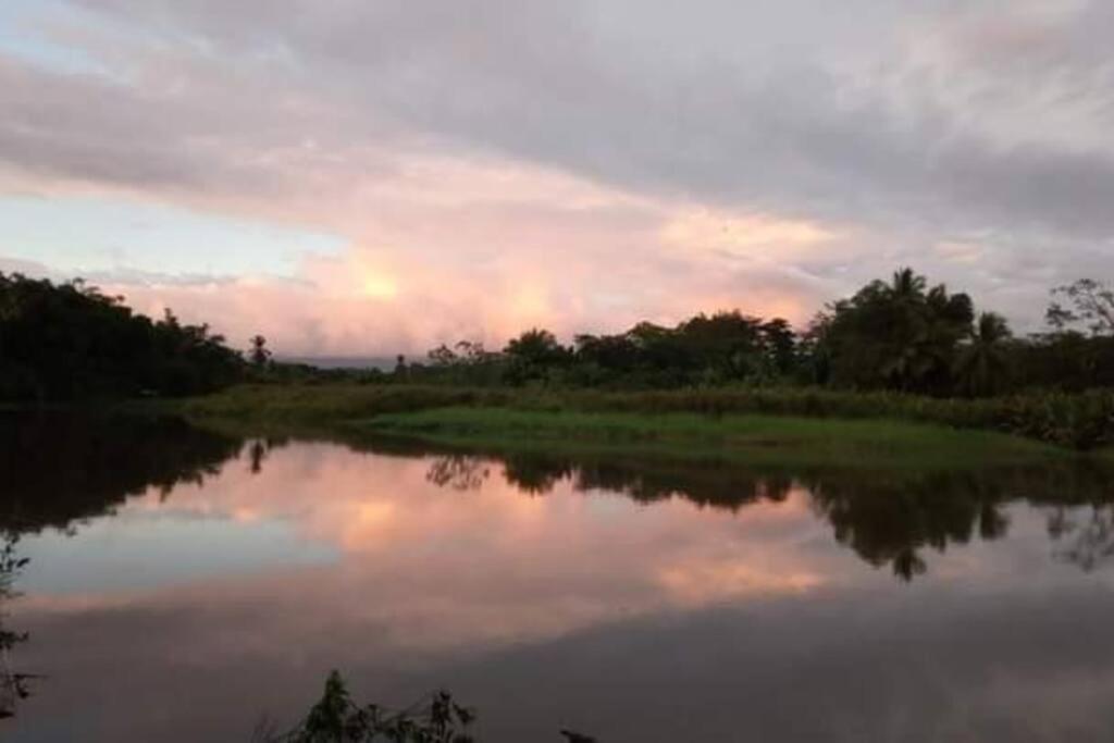 Casa Flor De Annia ~ Cozy 2 Bdrm On The River Sierpe ~ Walkable To Town Villa Екстериор снимка
