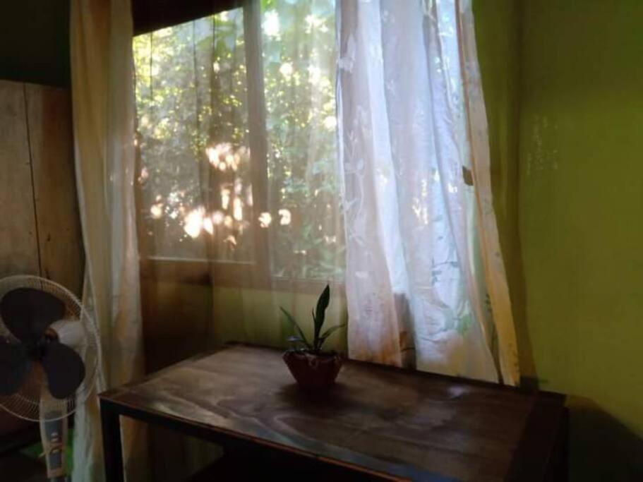 Casa Flor De Annia ~ Cozy 2 Bdrm On The River Sierpe ~ Walkable To Town Villa Екстериор снимка